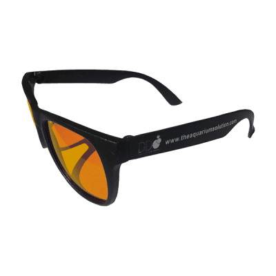 DD CORAL VIEW GLASSES