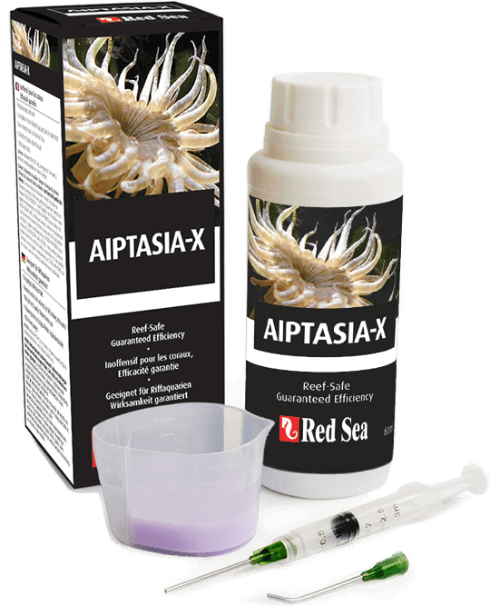 RED SEA AIPTASIA-X 60ML