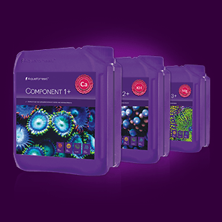 AQUAFOREST COMPONENT 1+ 2+ 3+