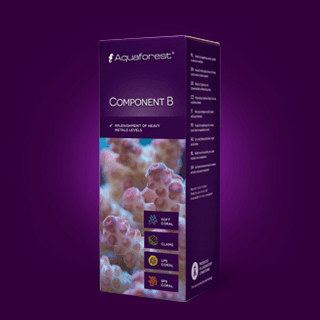 AQUAFOREST COMPONENT B 2000ML