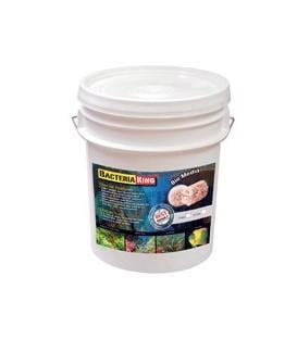 BACTERIA KING 5LITRES