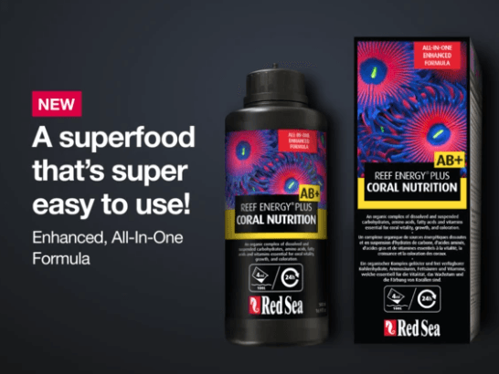 RED SEA REEF ENERGY PLUS AB+ 250ML