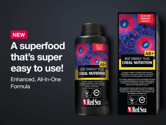 RED SEA REEF ENERGY PLUS AB+ 500ML