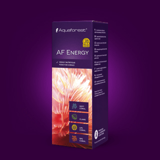 AQUAFOREST ENERGY 10ML