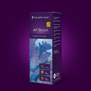AQUAFOREST BUILD 50ML