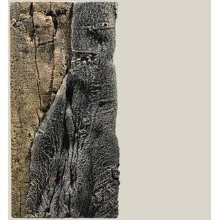 BACK TO NATURE SLIM LINE BACKGROUND AMAZONAS(50C L: 20 X H: 45