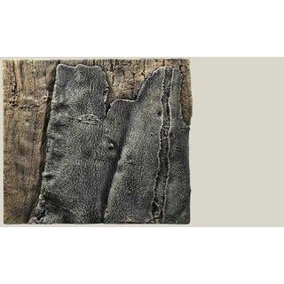 BACK TO NATURE SLIM LINE BACKGROUND AMAZONAS(50B L: 50 X H: 45