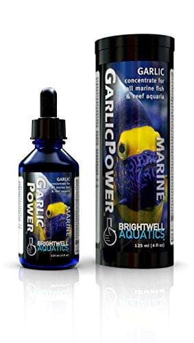 BRIGHTWELL AQUATICS GARLIC POWER 30ML