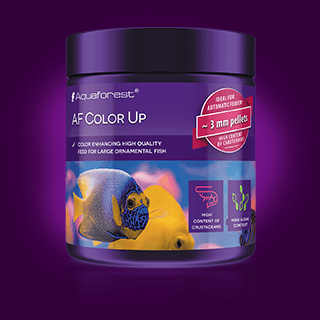 AQUAFOREST COLOR UP 120G