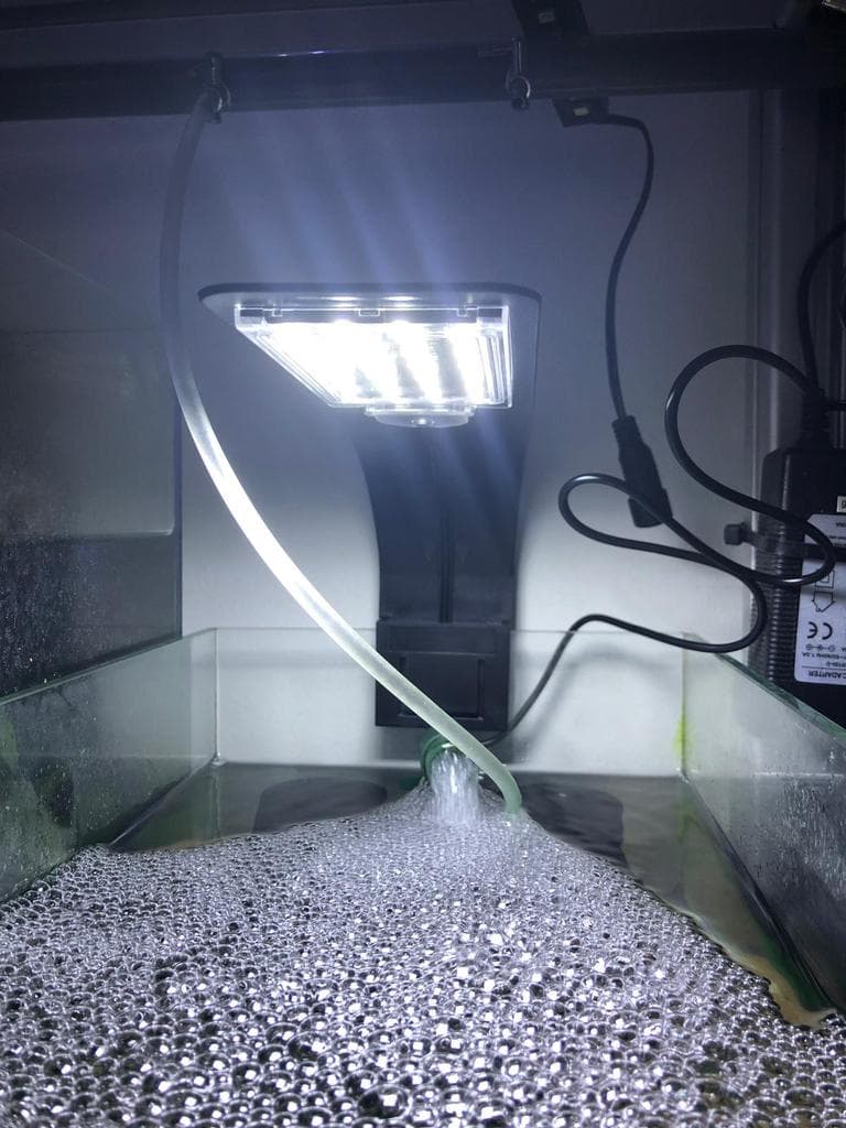 AST BLUE WHITE LIGHT