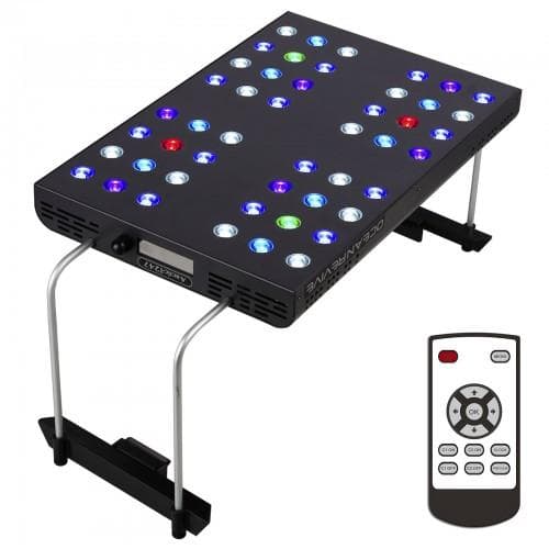 SEMIGROW OCEAN REVIVE LIGHT