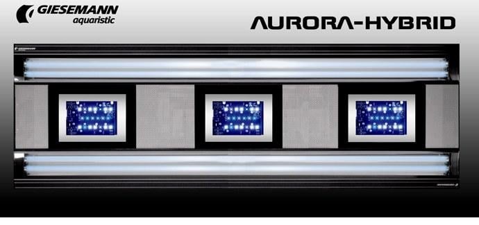 AURORA HYBRID 4 X 54 WATT + 3 X 85W LED 1200 MM