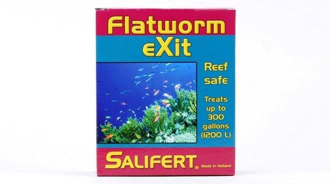 SALIFERT FLATWORM EXIT