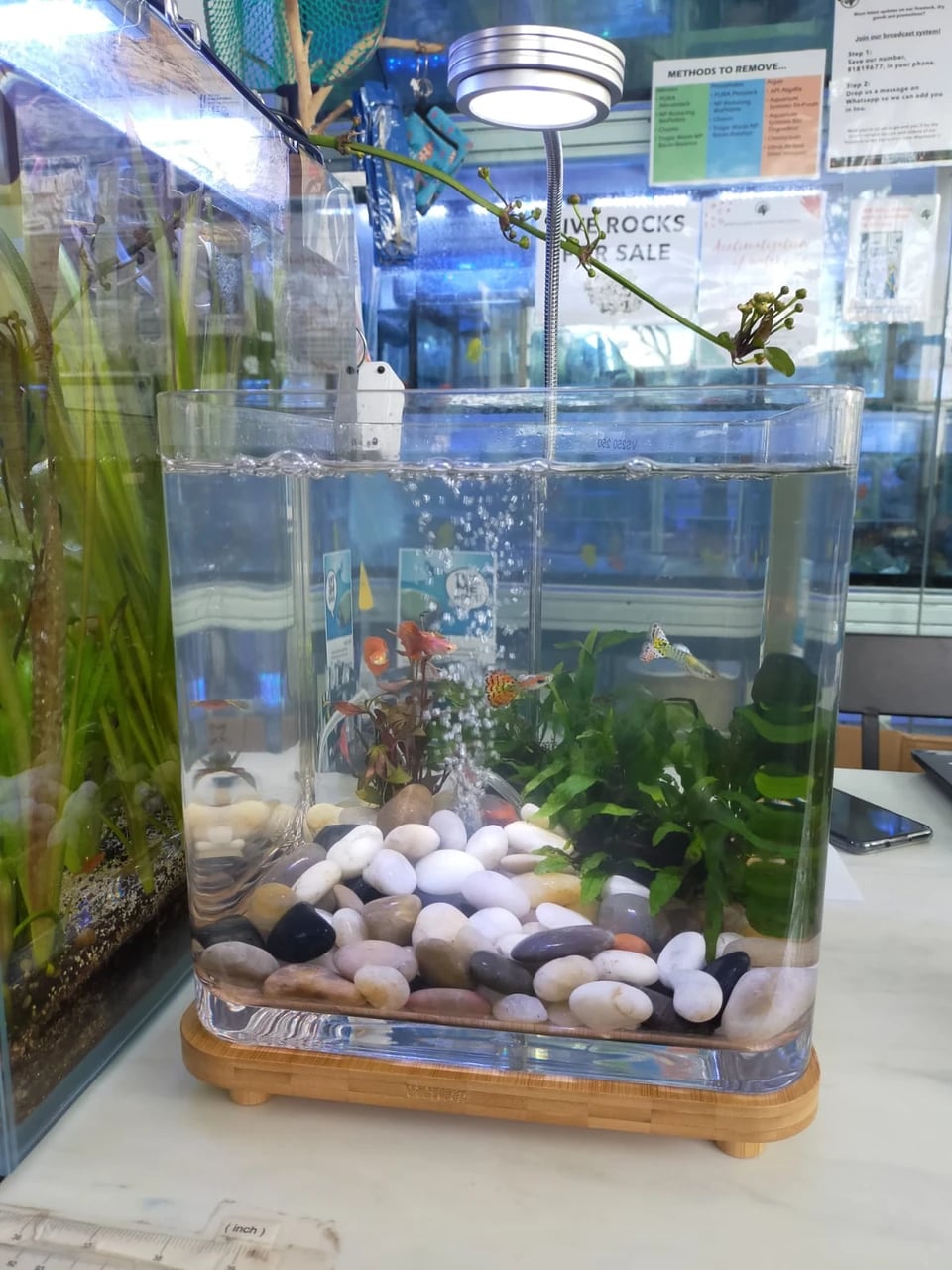 UNBREAKABLE TANK LS250-250WA 286X256X435