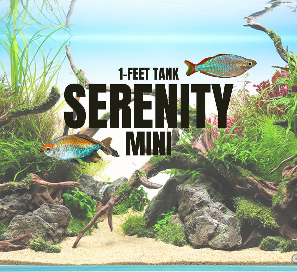 Adventure Pack - Serenity 1-Feet Set
