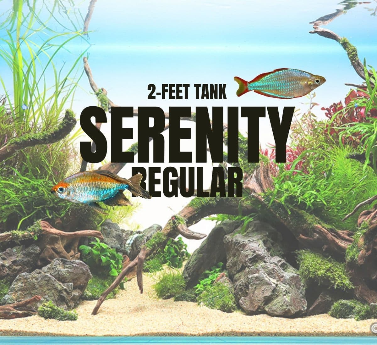 Adventure Pack - Serenity 2-Feet Set