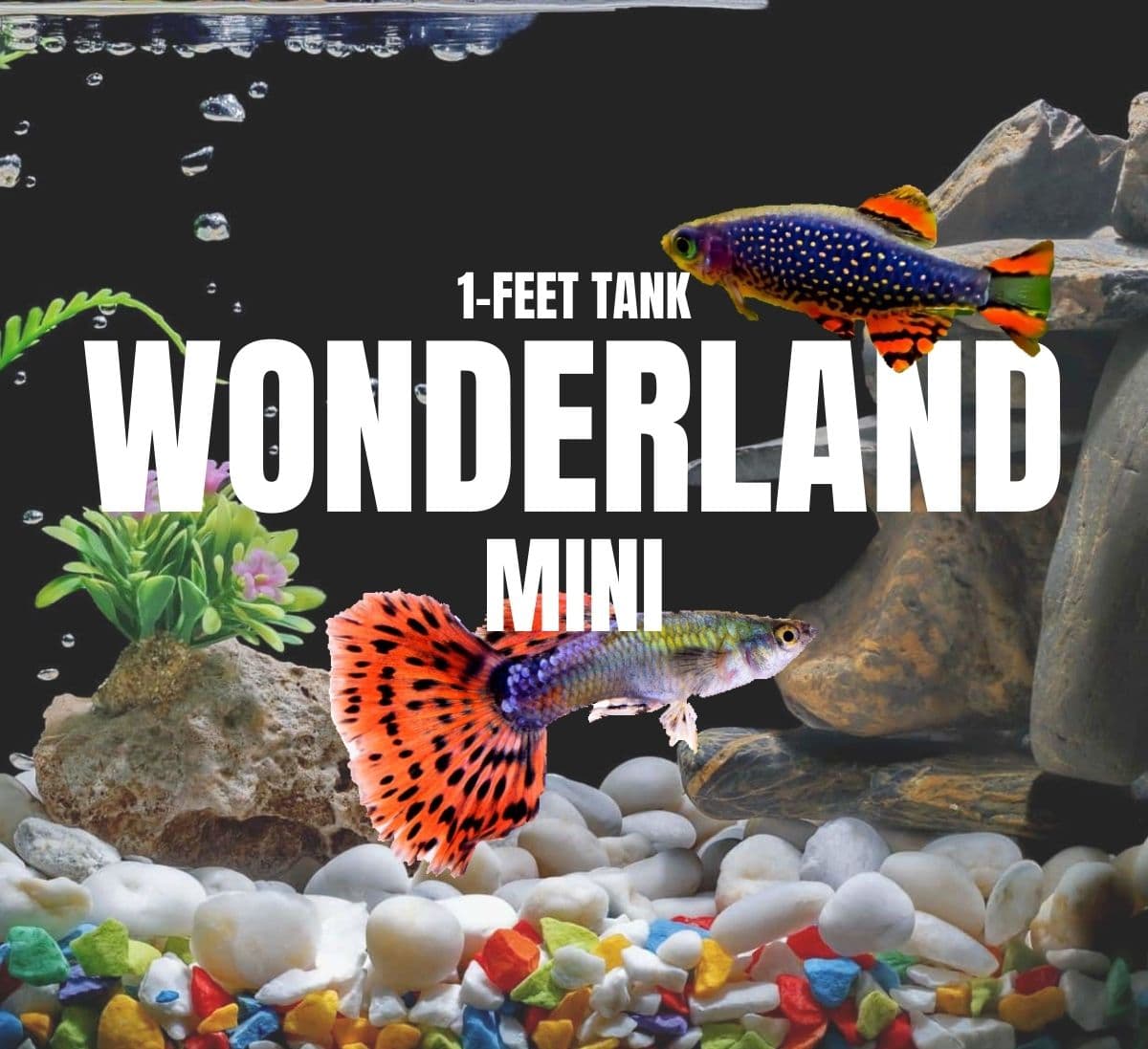 Adventure Pack - Wonderland 1-Feet Set