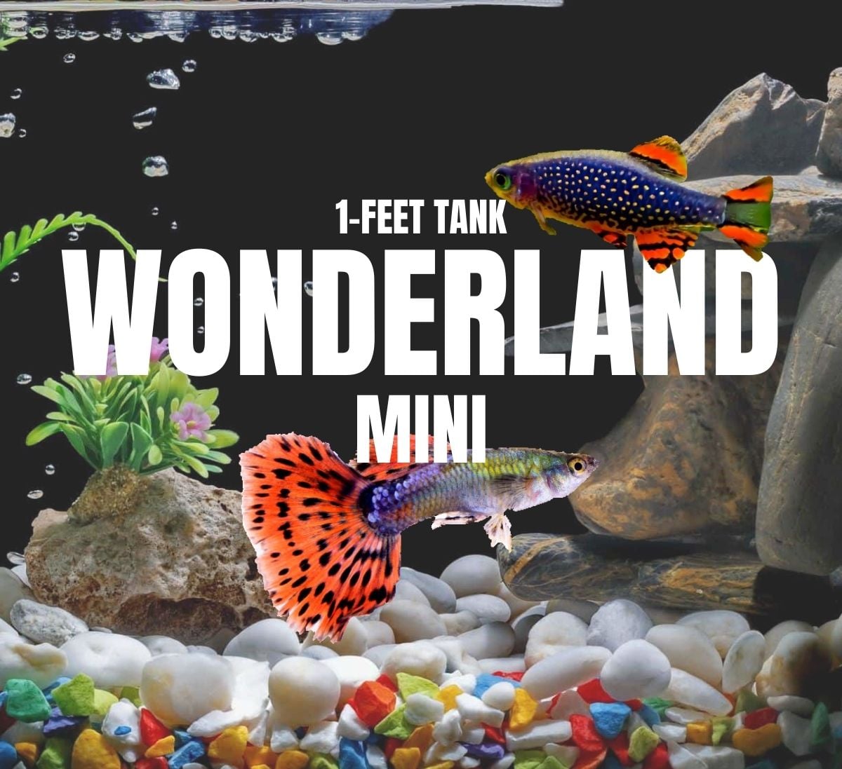 Adventure Pack - Wonderland 1-Feet Set