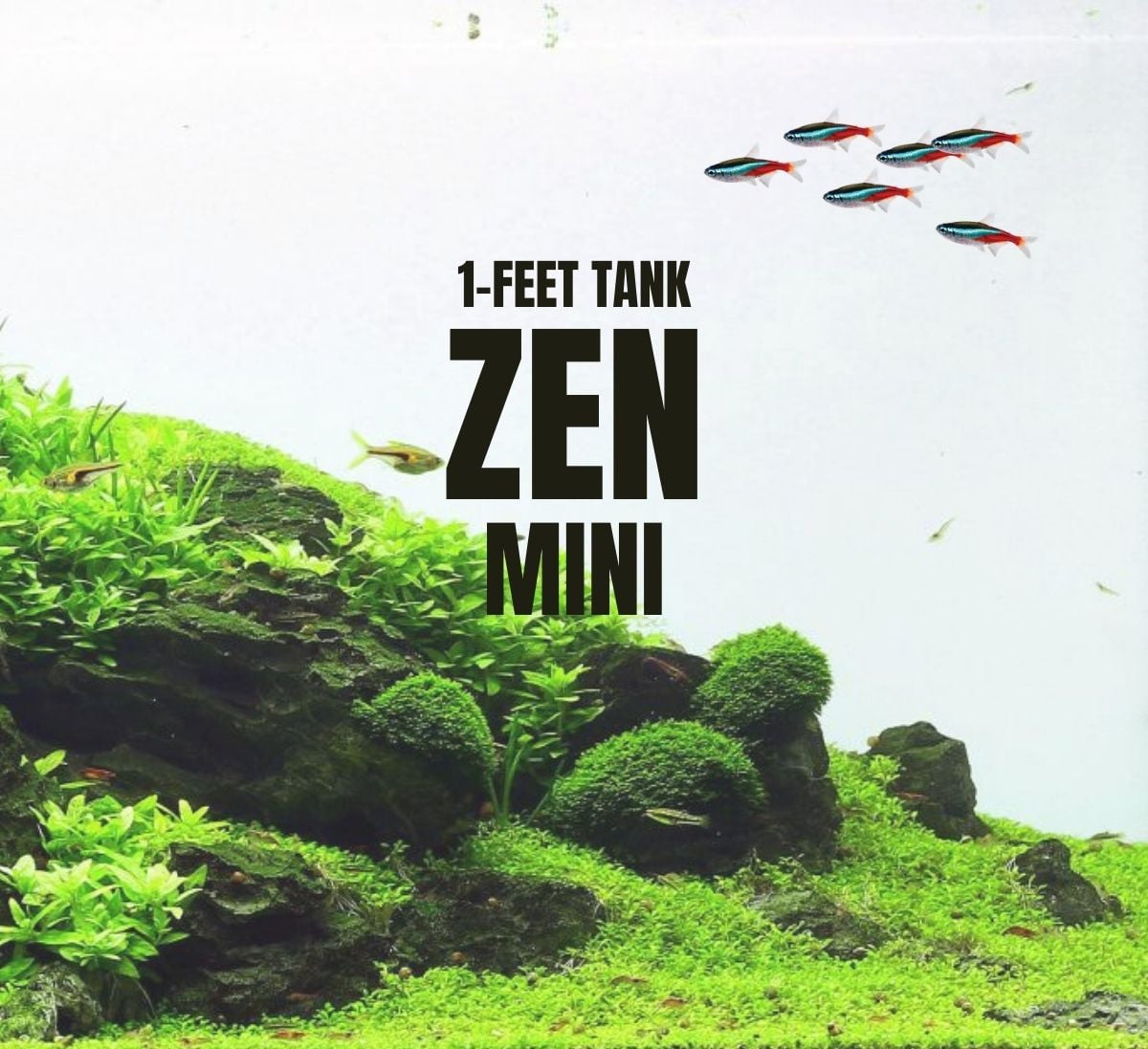Adventure Pack - Zen 1-Feet Set