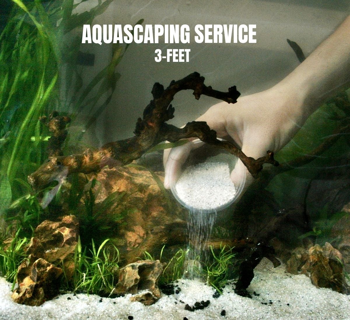 FishyHub Aquascaping Service for 3 feet tanks