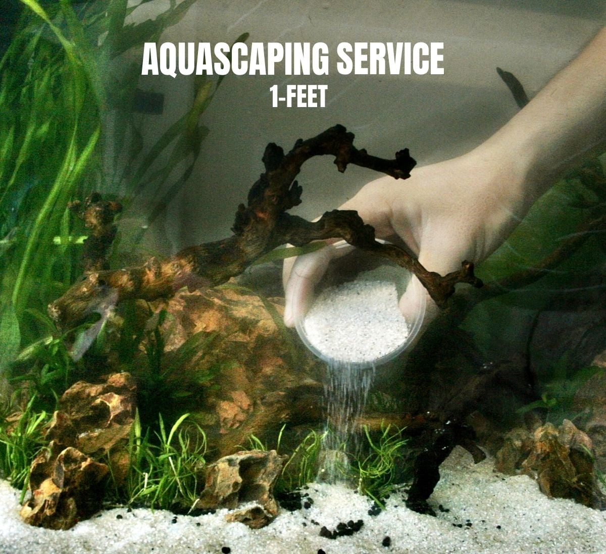 FishyHub Aquascaping for 1 feet tanks