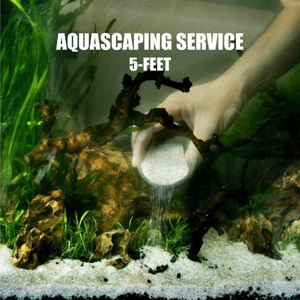 FishyHub Aquascaping Service for 5 feet tanks