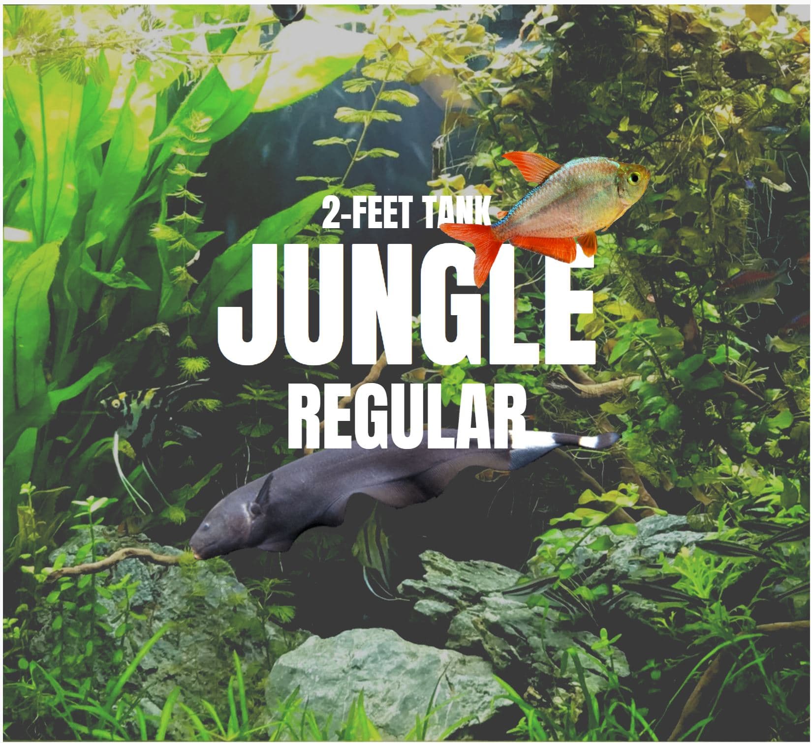 Adventure Pack - Jungle 2-Feet Set