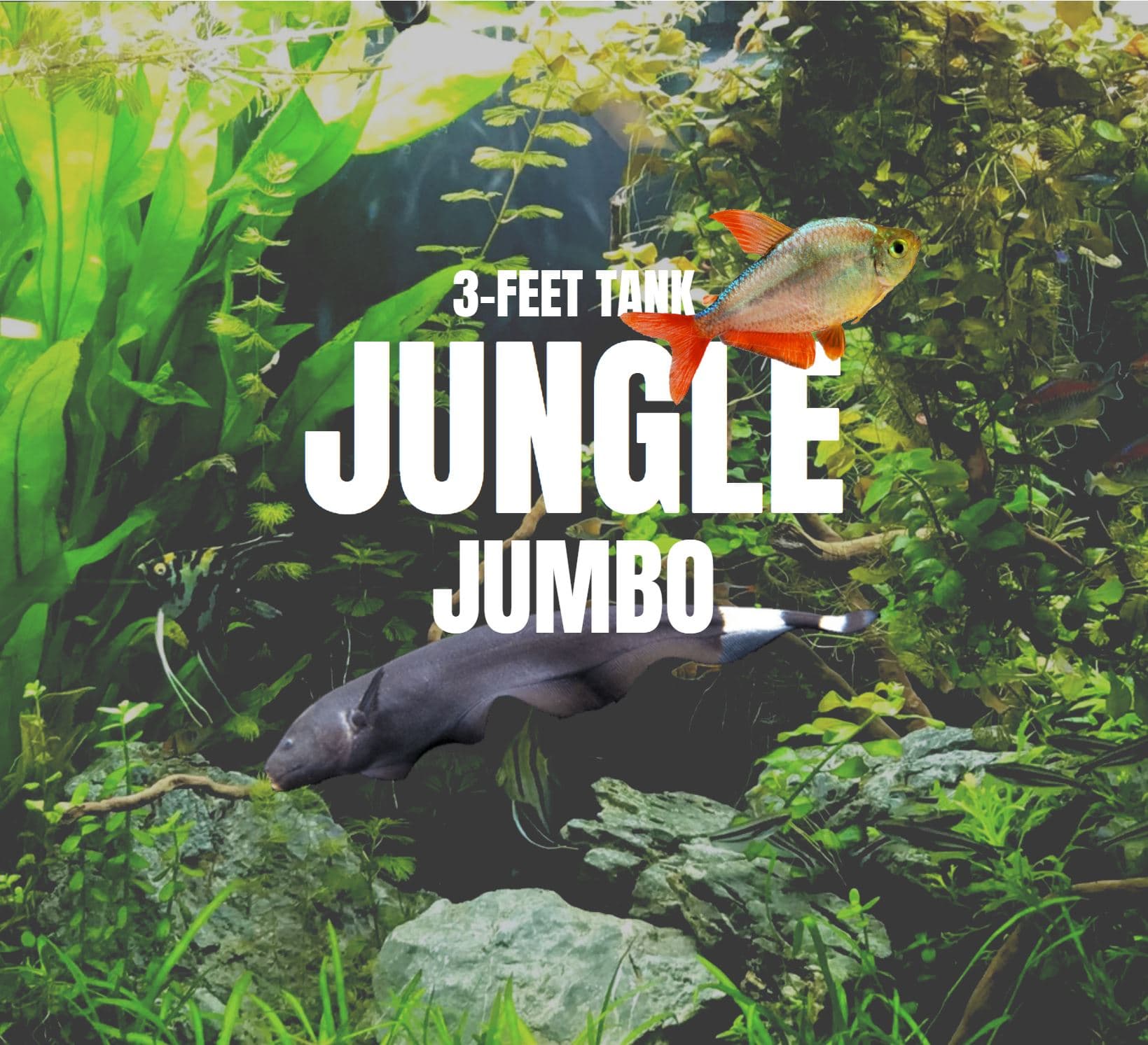 Adventure Pack - Jungle 3-Feet Set