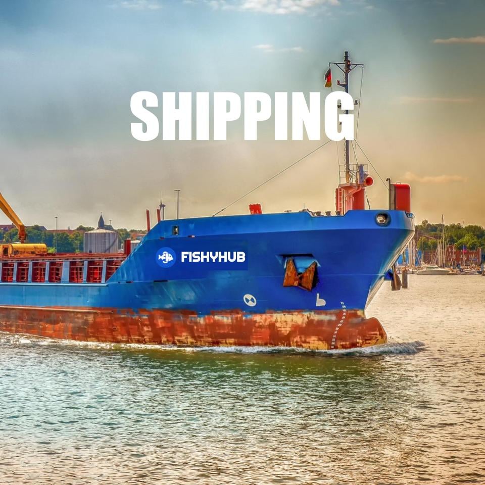 Overseas Shipping Service