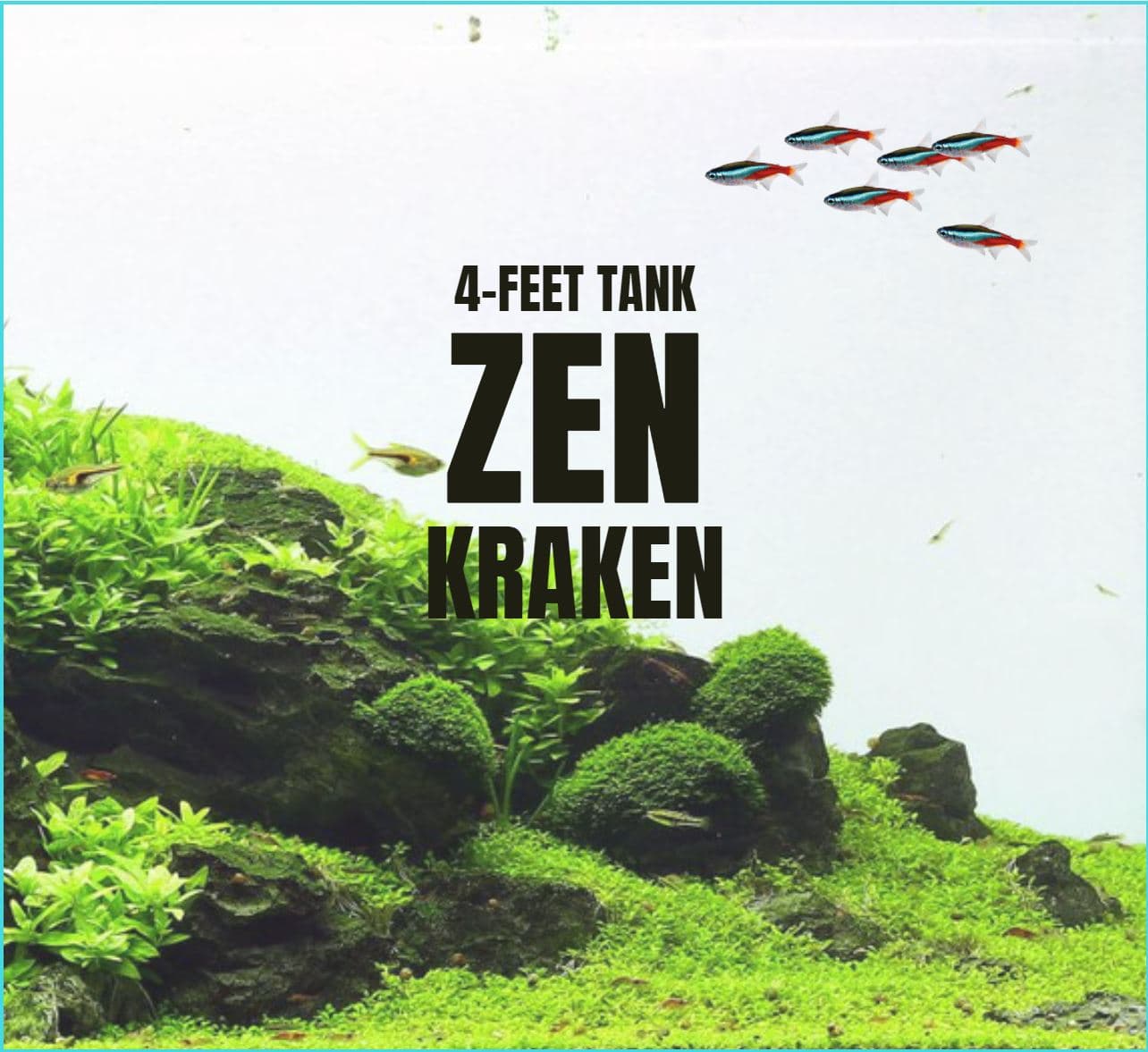 Adventure Pack - Zen/Jungle 4-Feet Set