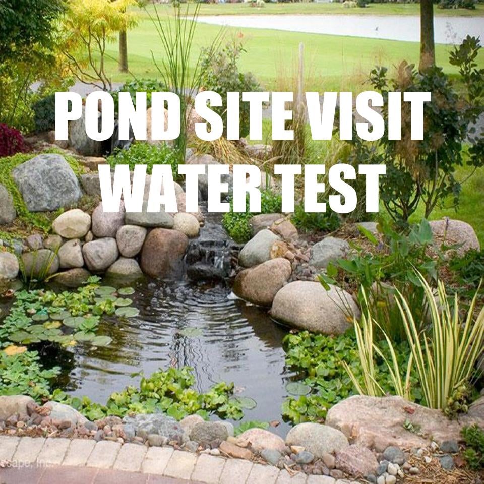 Pond Site Visit/ Water Test