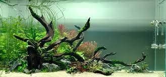Driftwood Island for Aquascape (top up)