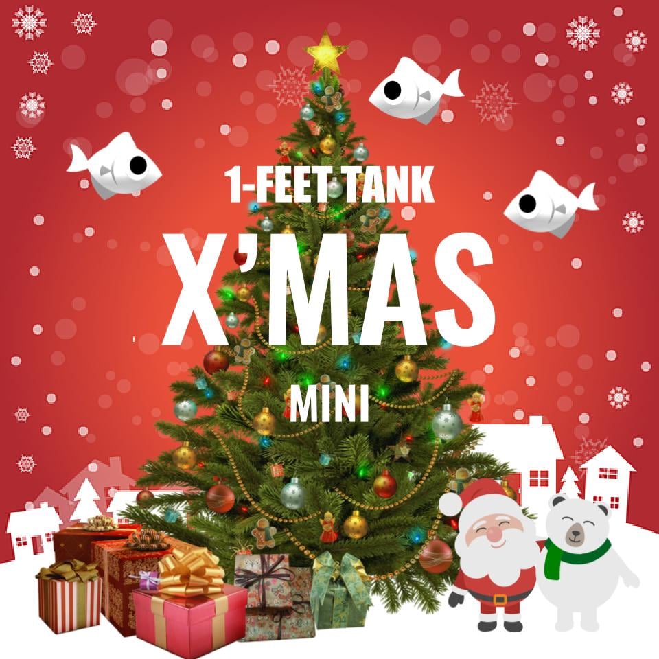 Adventure Pack - Christmas Special 1-Feet Set