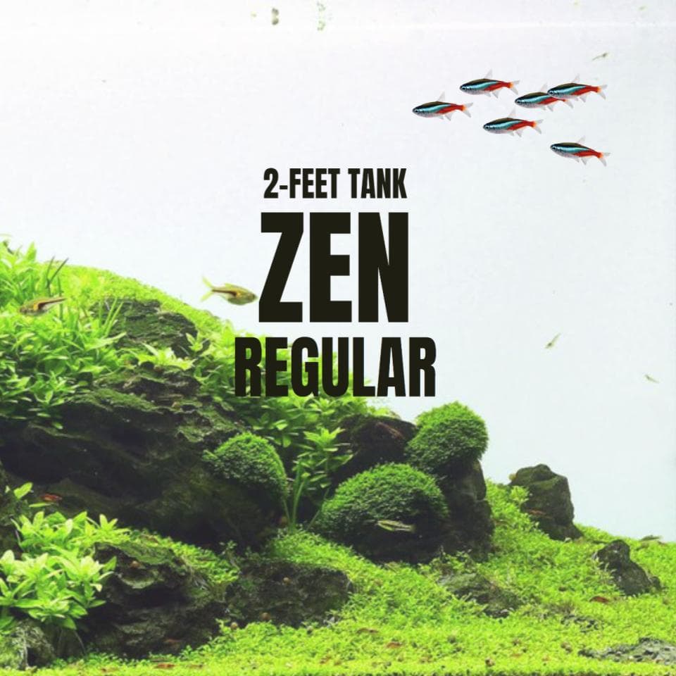 Adventure Pack - Zen 2-Feet Set