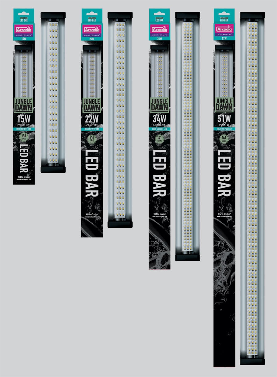 Arcadia Jungle Dawn LED bar