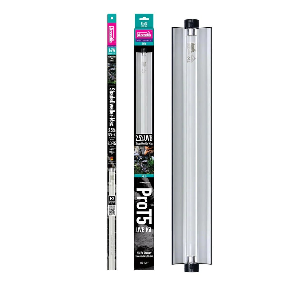 Arcadia Pro T5 ShadeDweller-Max Kit UVB Snake Lamp