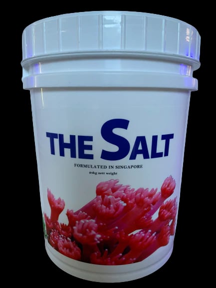 THE SALT (Formulated in Singapore) 24kg