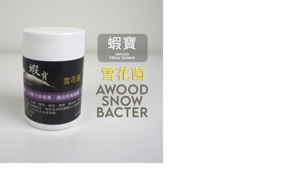 XiaBao Bacter Snow
