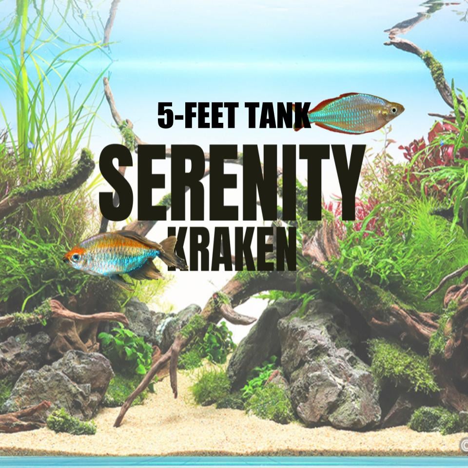 Adventure Pack - Serenity 5 Feet Set