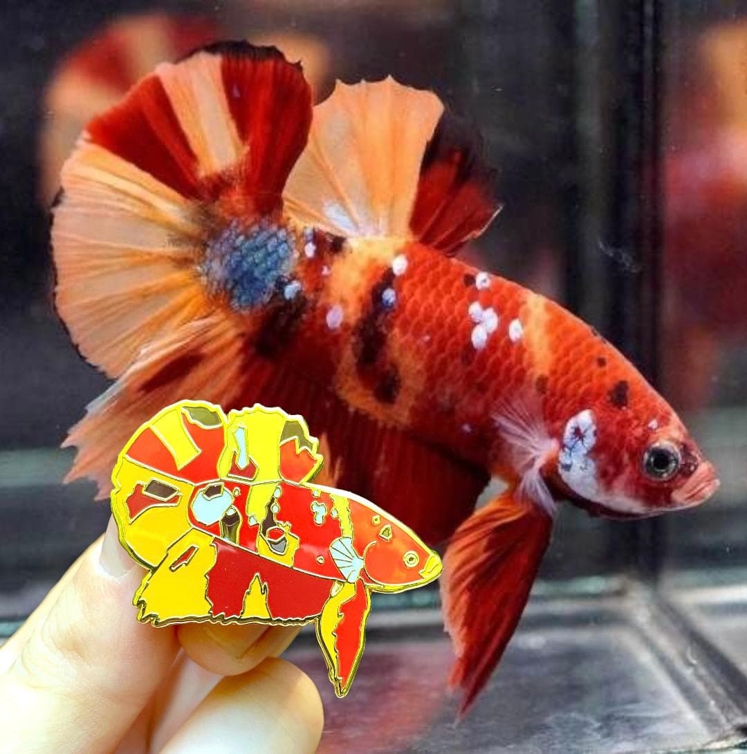 Custom Enamel Betta Pin (10 pieces)