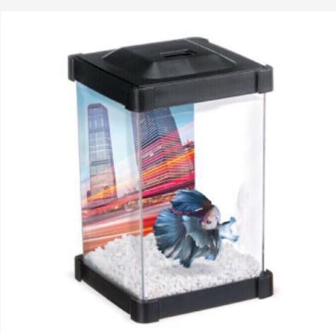 1.25L Betta Tank