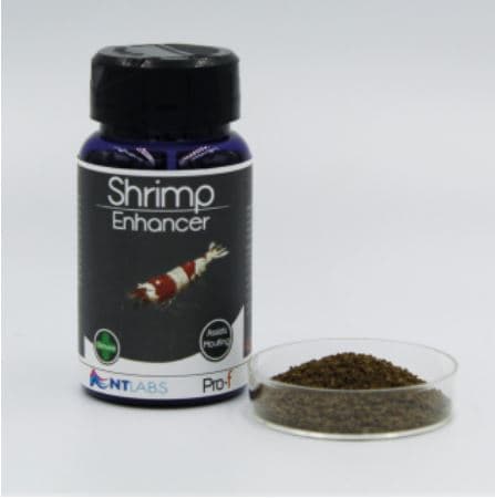 NT LABS Pro-f Shrimp Enhancer No Ratings Yet 0 Sold