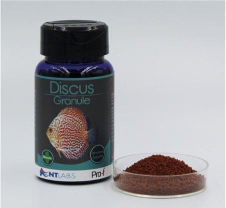 NT LABS Pro-f Discus Granule