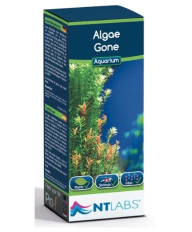 NT LABS Algae Gone