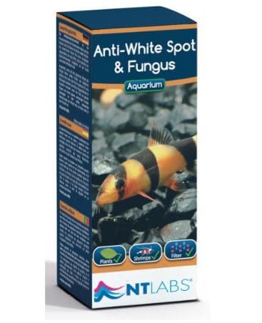 NT LABS Anti-White Spot & Fungus
