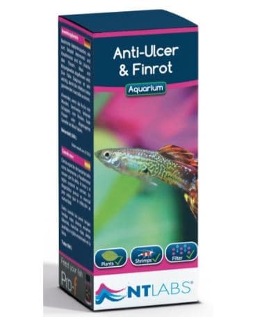 NT LABS Anti-Ulcer & Finrot