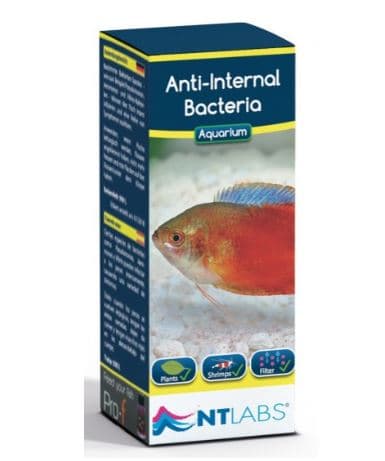 NT LABS Anti-Internal Bacteria