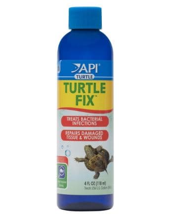 API Turtle Fix