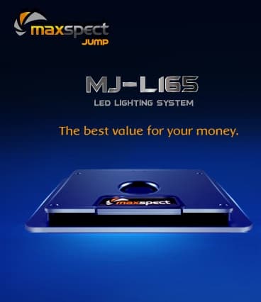 Maxspect Jump MJ-L165