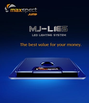 Maxspect Jump MJ-L165